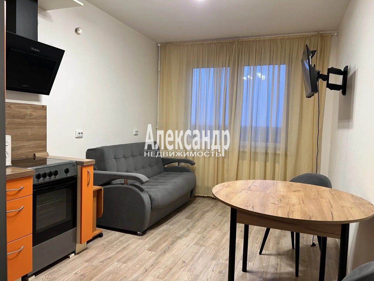 1-комнатная квартира (30м2) в аренду по адресу Санкт-Петербург, Муринская дорога, 10к1— фото 1 из 29