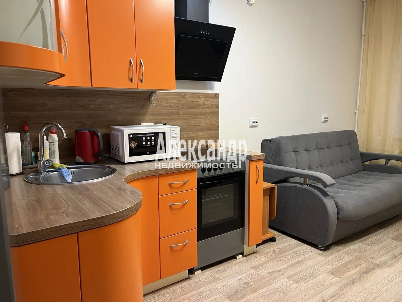 1-комнатная квартира (30м2) в аренду по адресу Санкт-Петербург, Муринская дорога, 10к1— фото 2 из 29