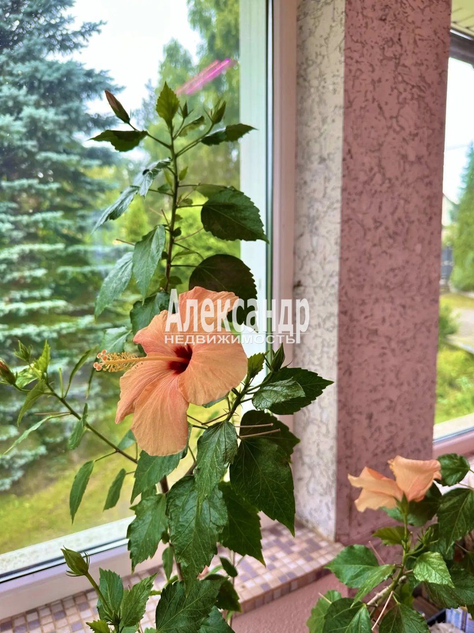 Жилой дом (412м2) на продажу — фото 25 из 40