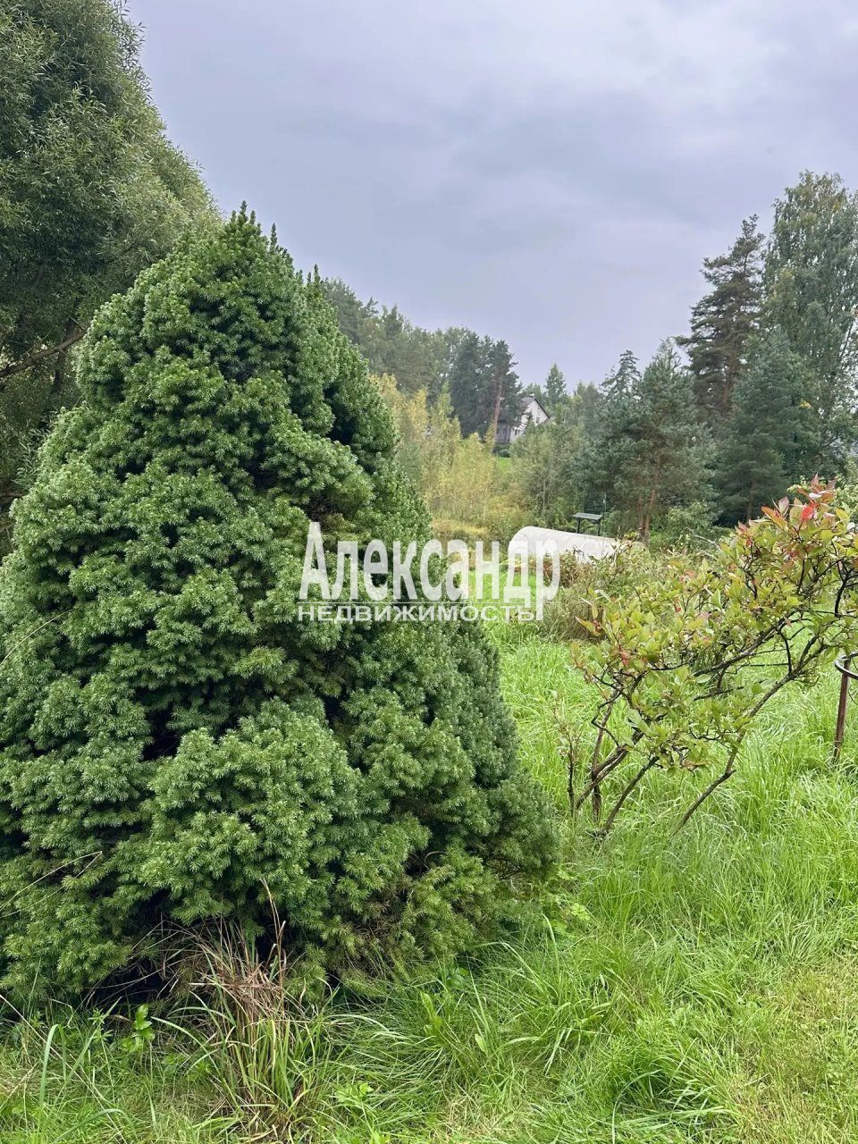 Жилой дом (412м2) на продажу — фото 36 из 40