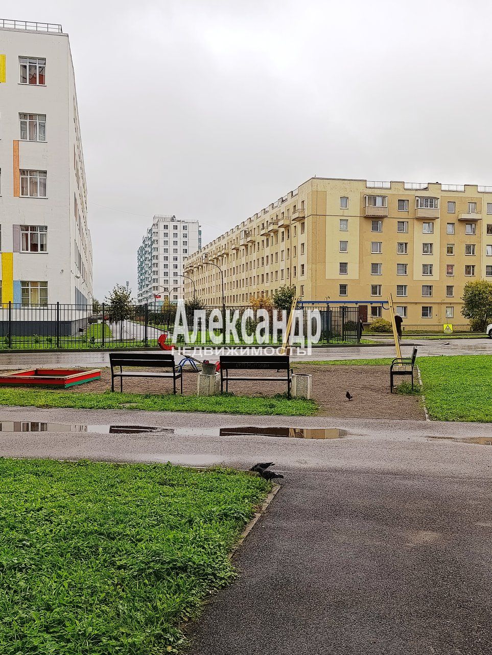 1-комнатная квартира (29м2) на продажу по адресу Санкт-Петербург, Пушкинский район, посёлок Шушары, Московское шоссе, 282, подъезд 1— фото 12 из 17