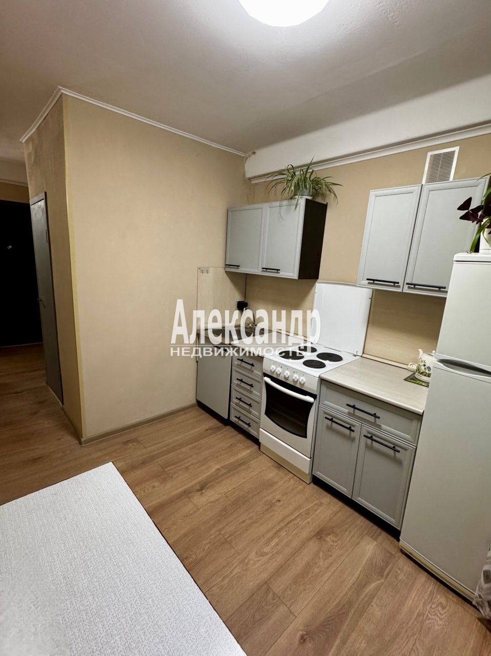 2-комнатная квартира (45м2) в аренду по адресу Санкт-Петербург, проспект Косыгина, 11к2— фото 11 из 22