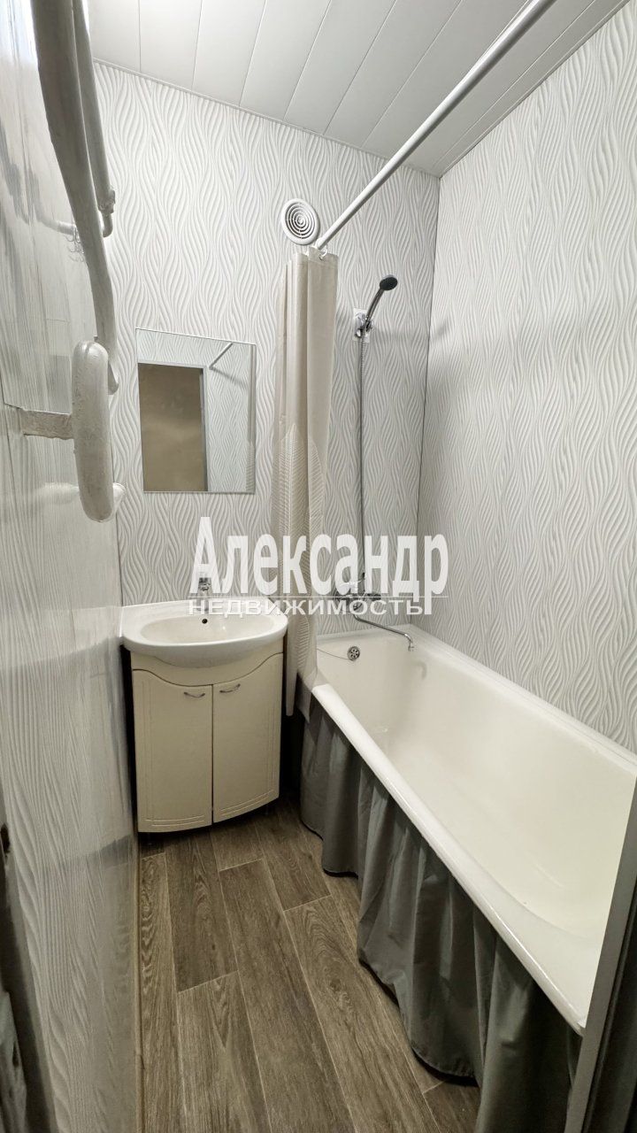 2-комнатная квартира (45м2) в аренду по адресу Санкт-Петербург, проспект Косыгина, 11к2— фото 17 из 22