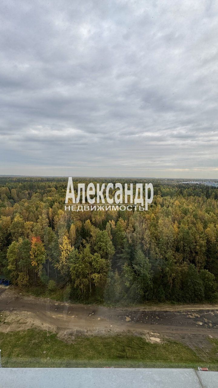 1-комнатная квартира (36м2) на продажу по адресу Ленинградская область, Всеволожский район, деревня Новое Девяткино, Капральская улица, 15— фото 15 из 25