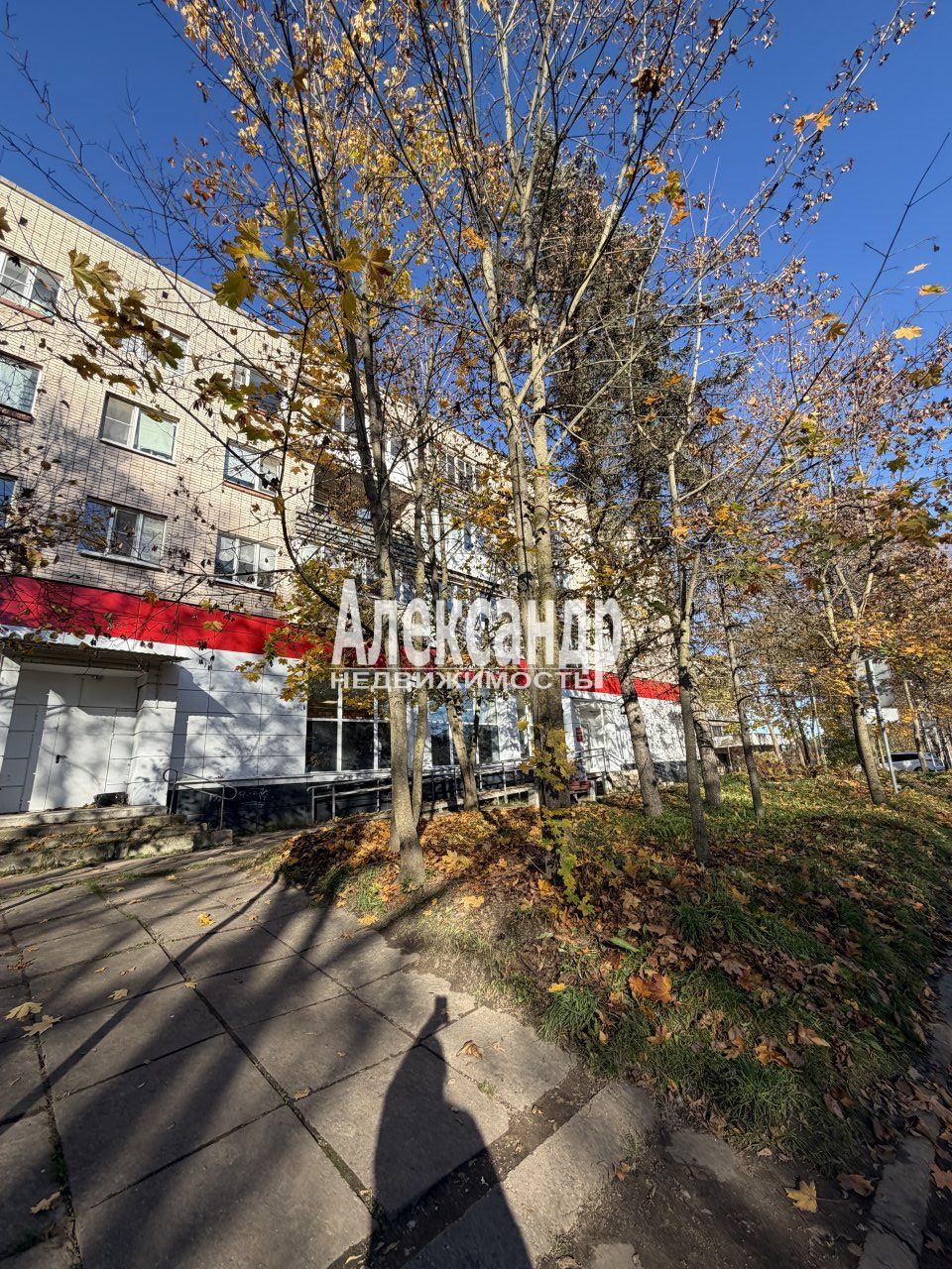 2-комнатная квартира (40м2) на продажу по адресу Ленинградская область, Тосненский район, Любанское городское поселение, посёлок Сельцо, 6— фото 14 из 21
