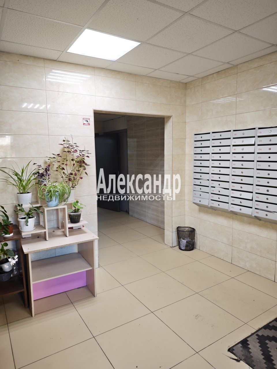 Комната в 2-комнатной квартире (37м2) в аренду по адресу Санкт-Петербург, Пушкинский район, посёлок Шушары, территория Ленсоветовский, 13, подъезд 3— фото 8 из 11