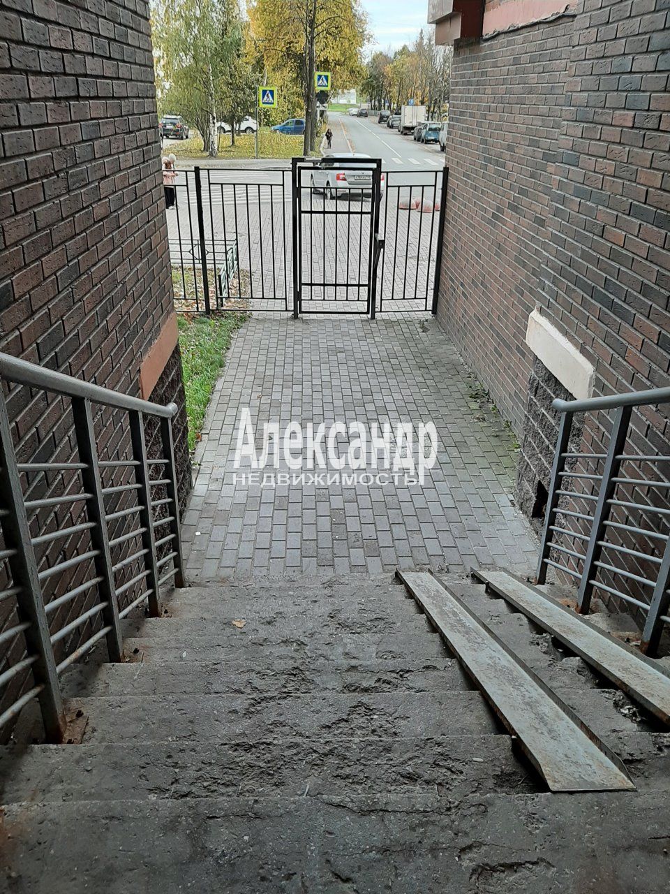 Студия (25м2) в аренду — фото 4 из 14