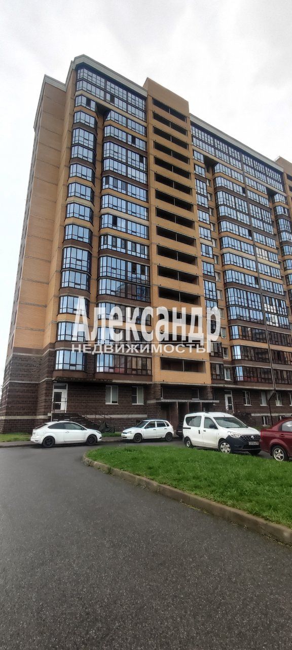 Студия (20м2) в аренду — фото 2 из 25