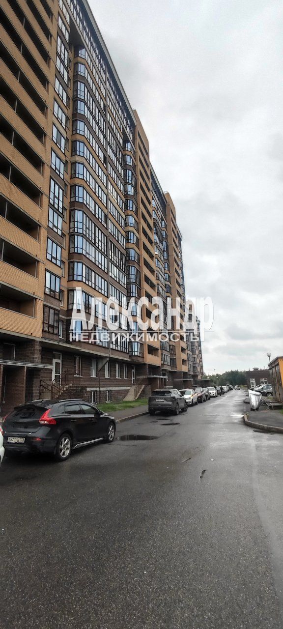 Студия (20м2) в аренду — фото 3 из 25