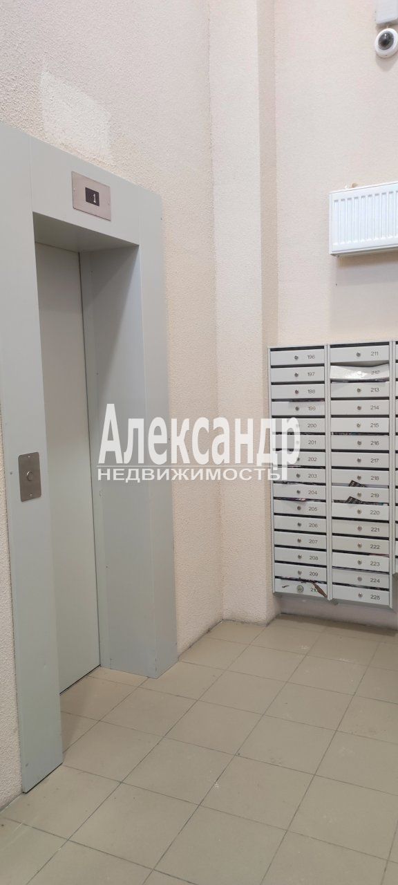 Студия (20м2) в аренду — фото 5 из 25