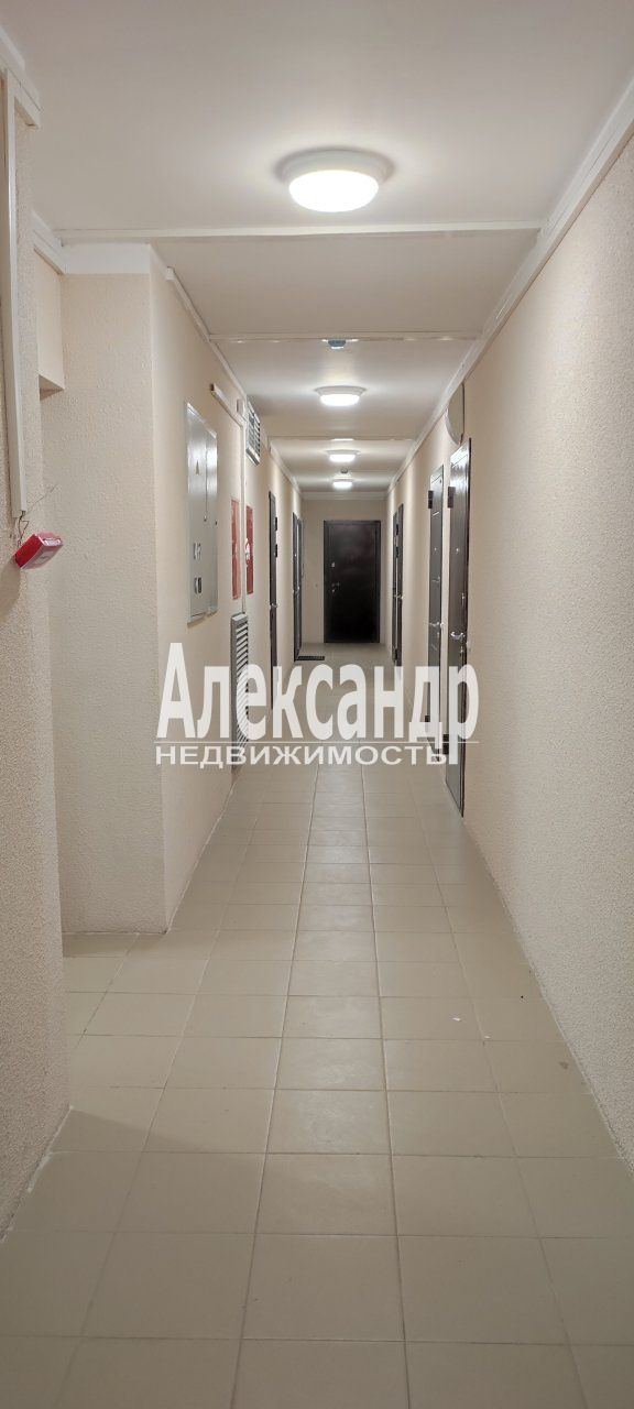 Студия (20м2) в аренду — фото 7 из 25
