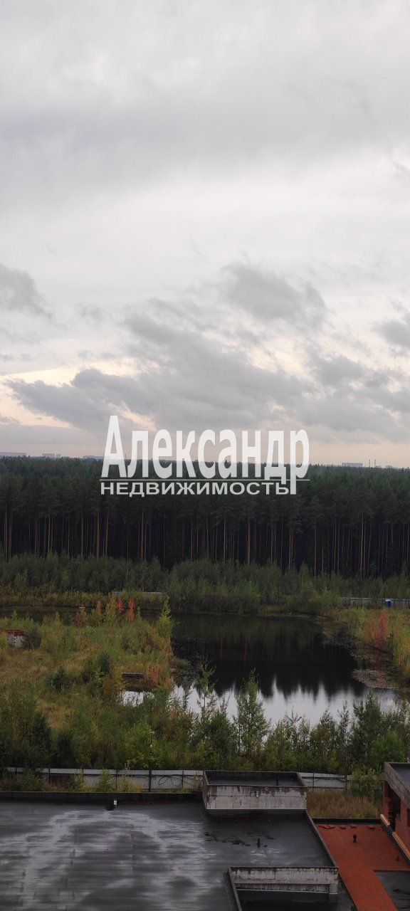 Студия (20м2) в аренду — фото 19 из 25