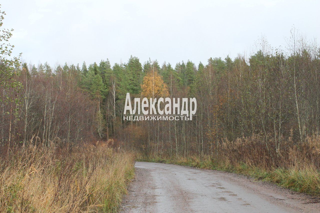 Участок (10м2) на продажу — фото 8 из 9