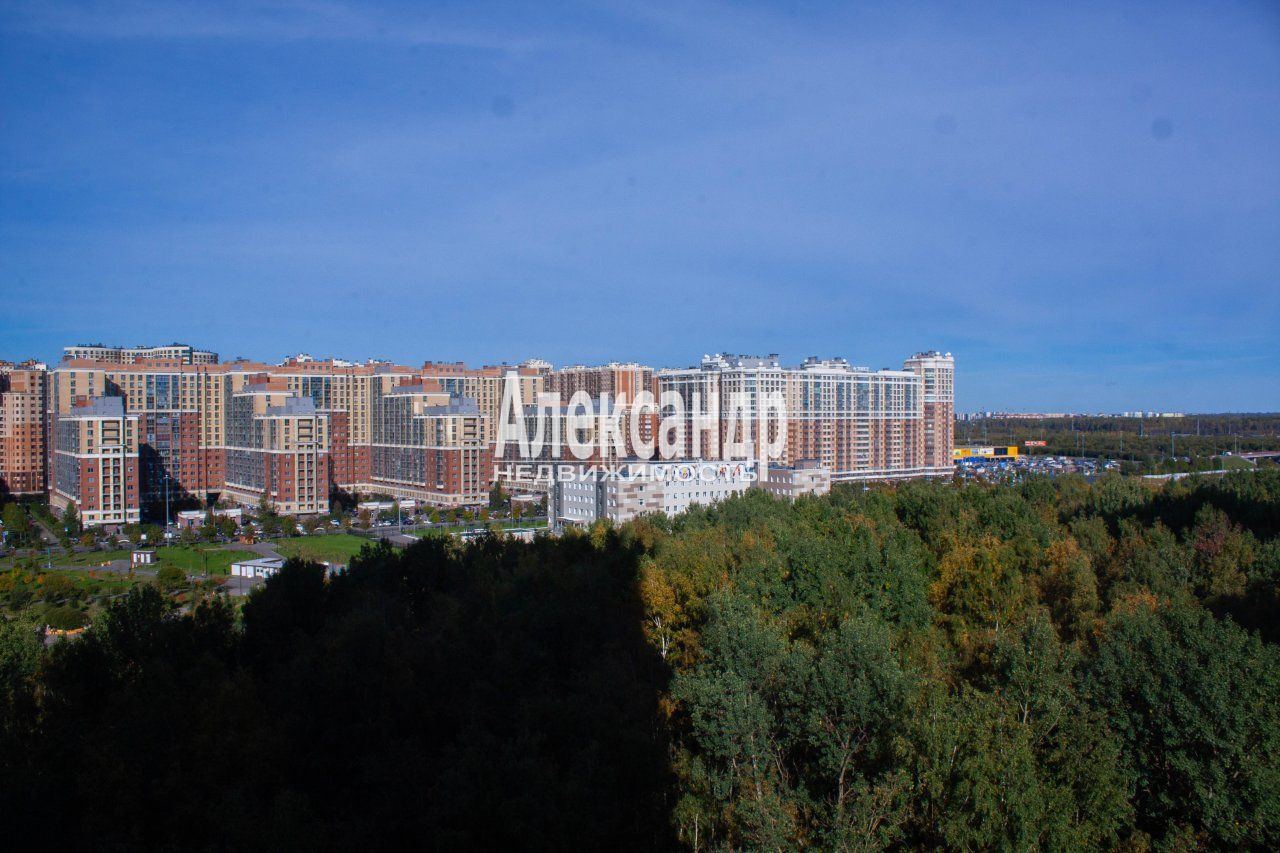 2-комнатная квартира (50м2) на продажу по адресу Ленинградская область, Всеволожский район, Заневское городское поселение, Кудрово, Европейский проспект, 21к1, подъезд 1— фото 13 из 20