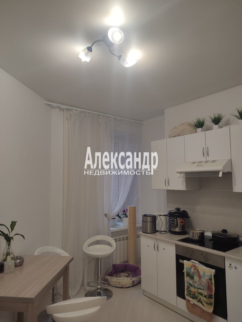 1-комнатная квартира (42м2) на продажу по адресу Санкт-Петербург, проспект Наставников, 19— фото 8 из 15