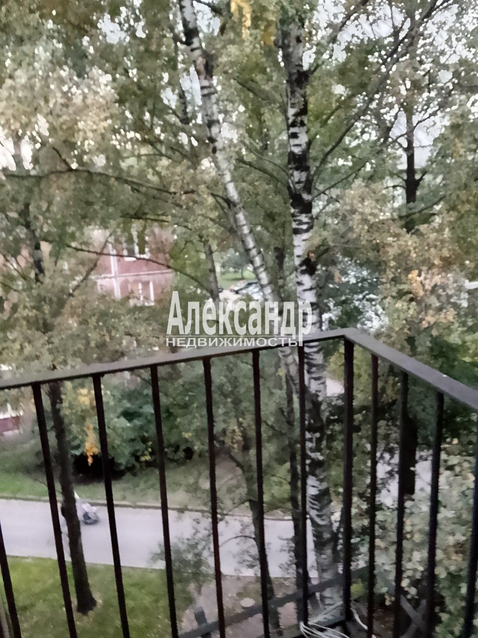 2-комнатная квартира (46м2) на продажу по адресу Санкт-Петербург, исторический район Малая Охта, Казанская улица, 18— фото 8 из 13