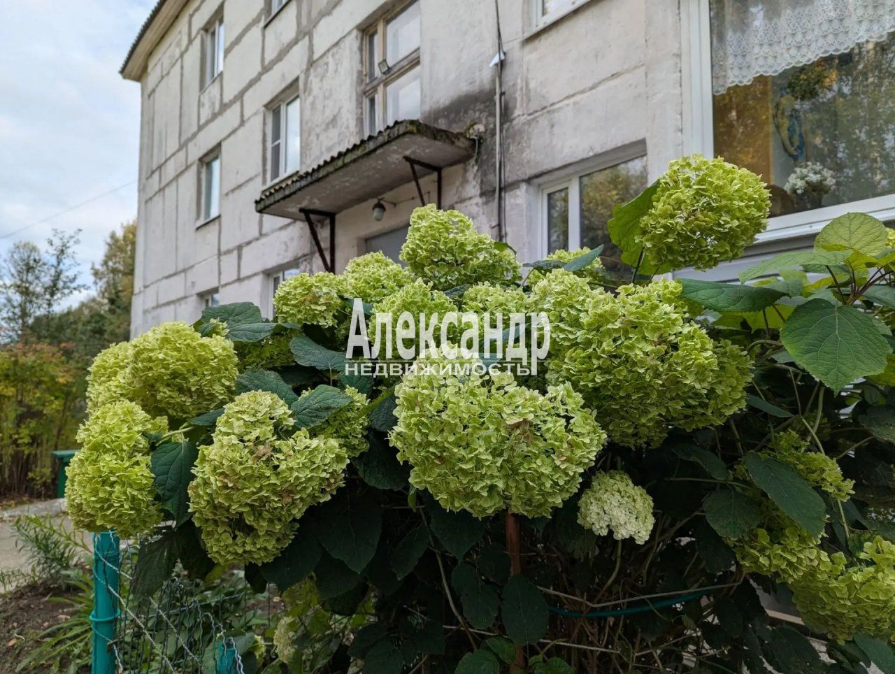 2-комнатная квартира (55м2) на продажу по адресу Республика Карелия, Лахденпохья, Железнодорожный переулок, 11— фото 21 из 23