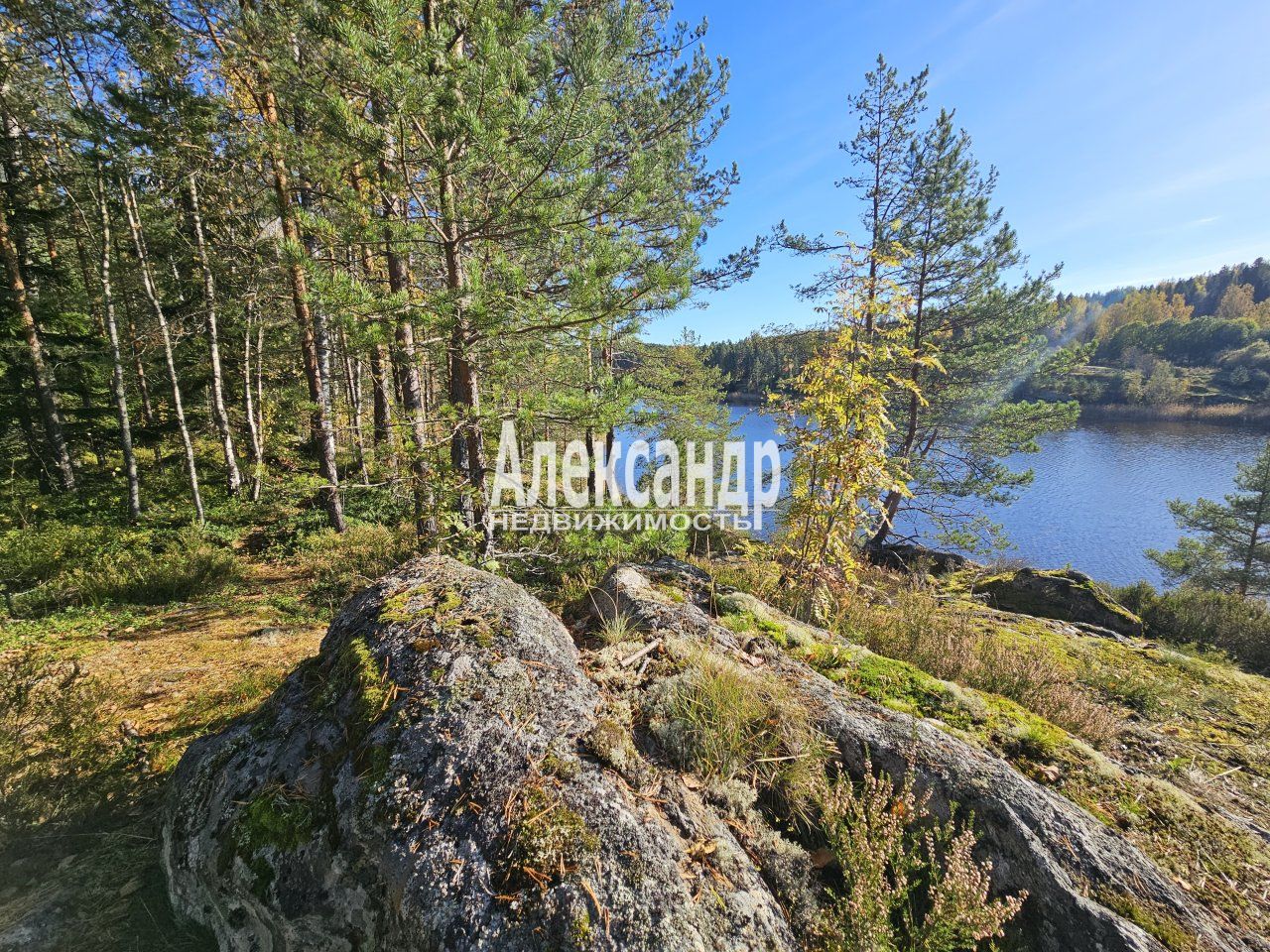 Участок (15м2) на продажу — фото 16 из 41