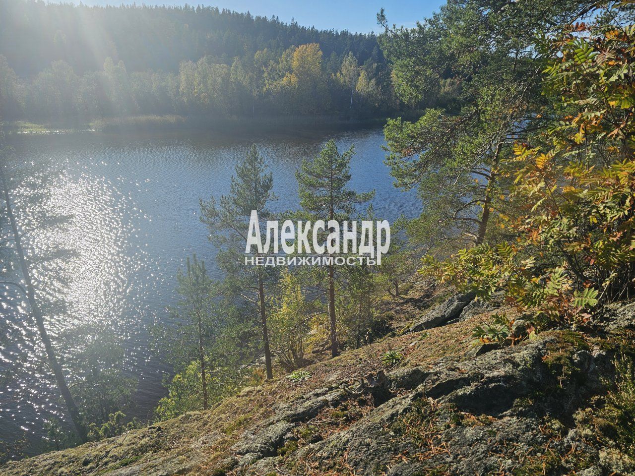 Участок (15м2) на продажу — фото 21 из 41