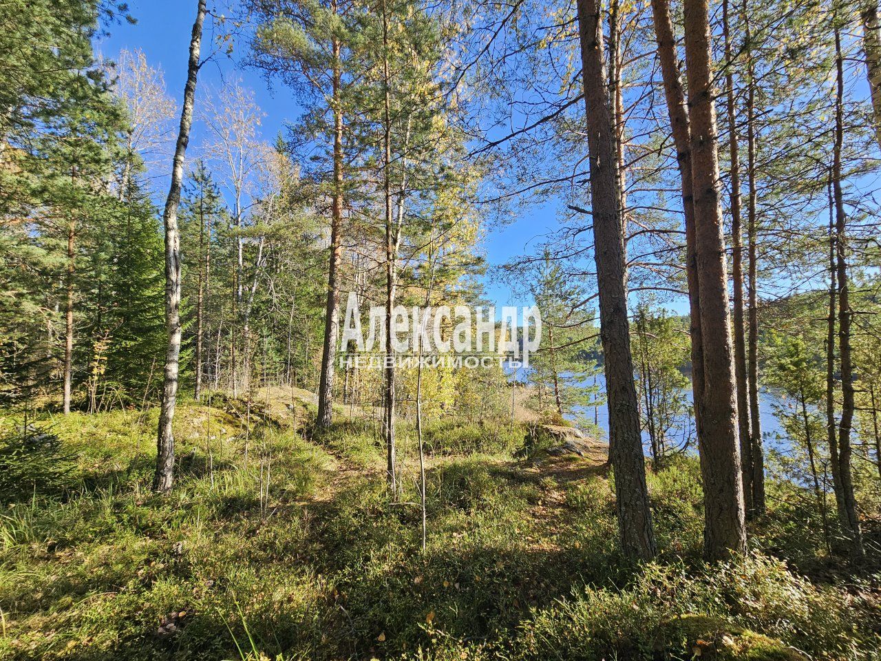 Участок (15м2) на продажу — фото 27 из 41