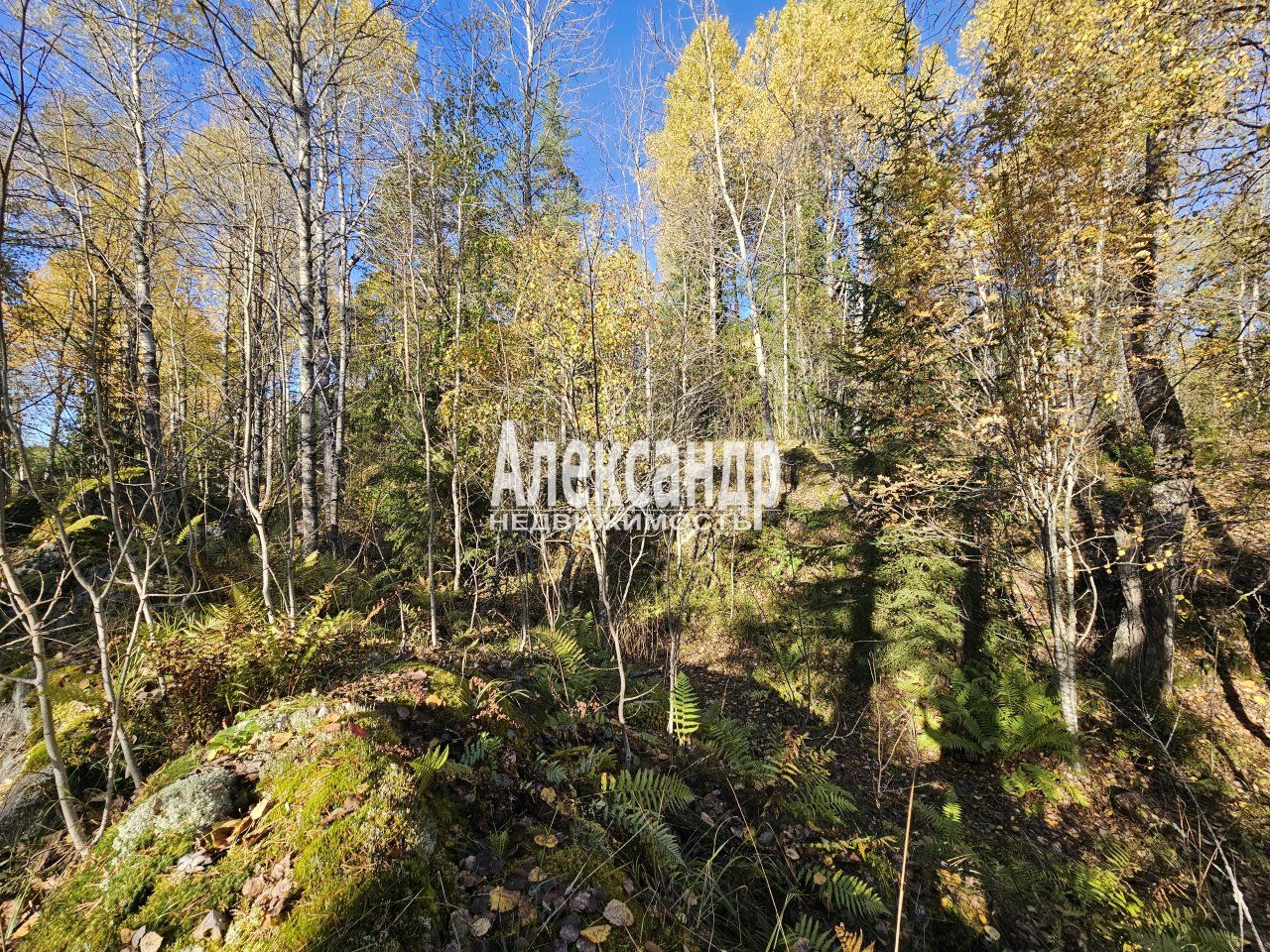Участок (15м2) на продажу — фото 31 из 41