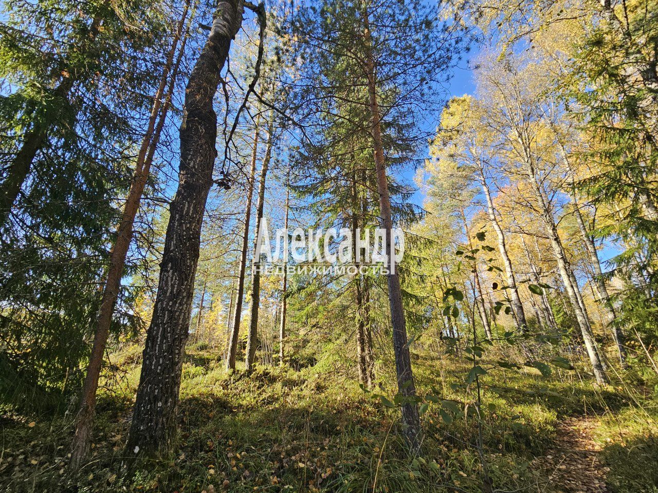 Участок (15м2) на продажу — фото 34 из 41
