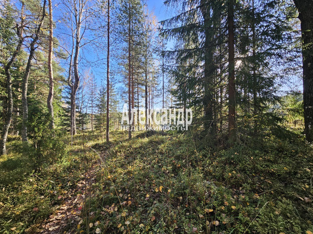 Участок (15м2) на продажу — фото 36 из 41