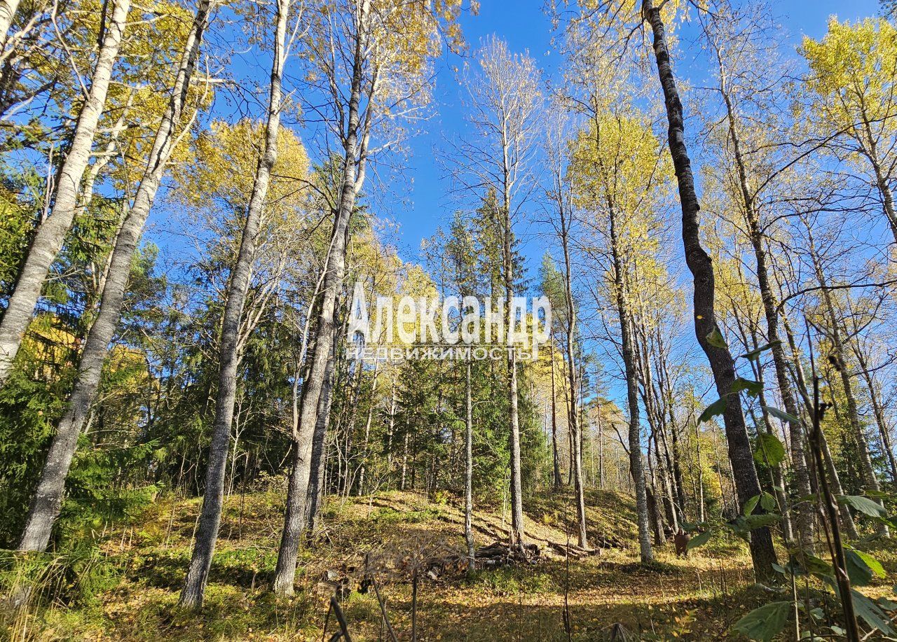 Участок (15м2) на продажу — фото 39 из 41