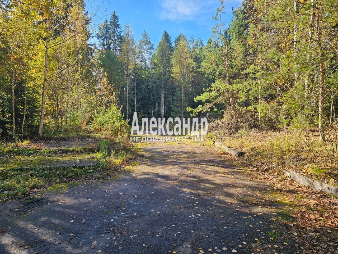 2-комнатная квартира (65м2) на продажу по адресу Республика Карелия, Лахденпохья, улица Трубачёва, 8А— фото 3 из 29