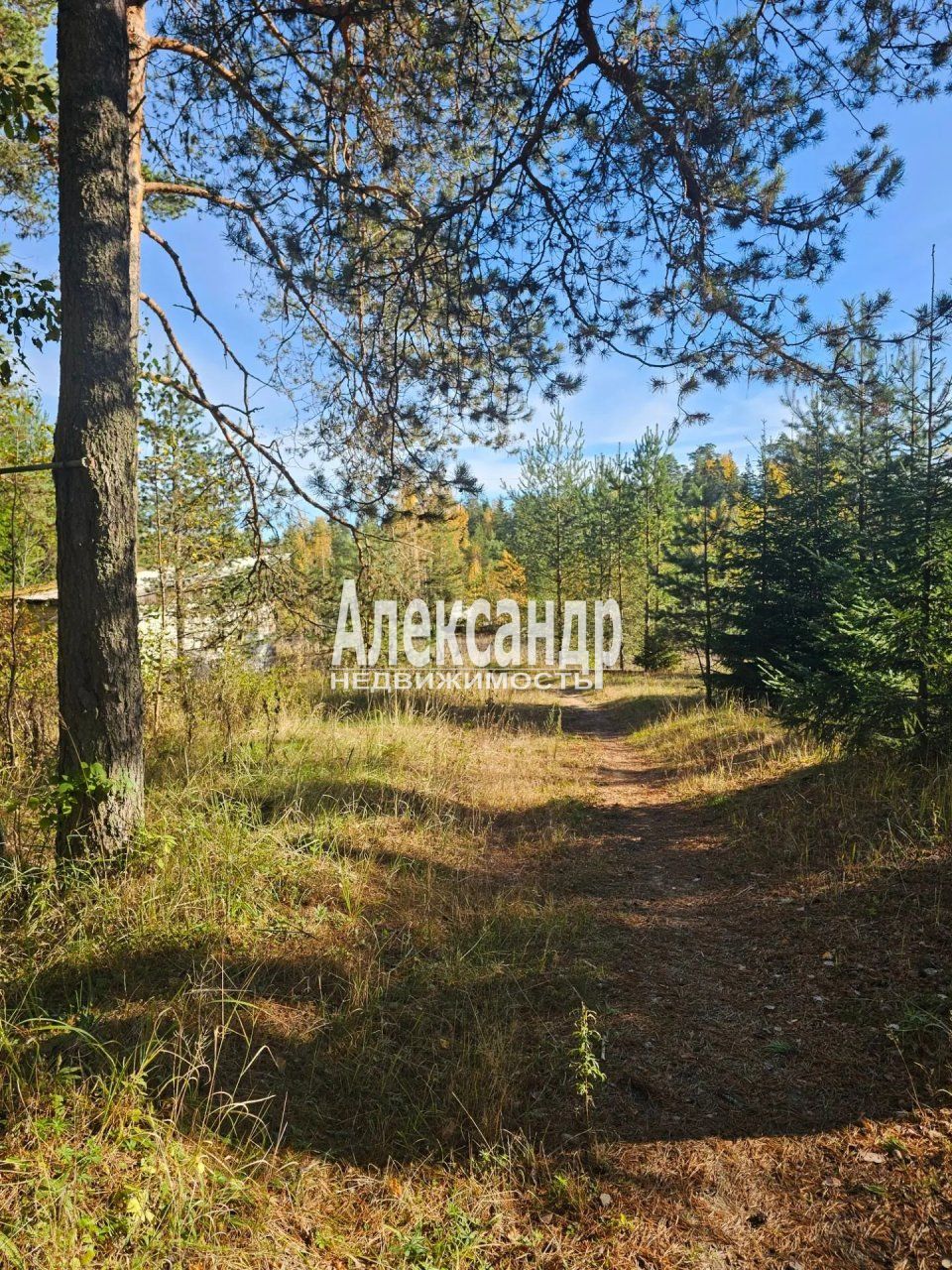 2-комнатная квартира (65м2) на продажу по адресу Республика Карелия, Лахденпохья, улица Трубачёва, 8А— фото 24 из 29