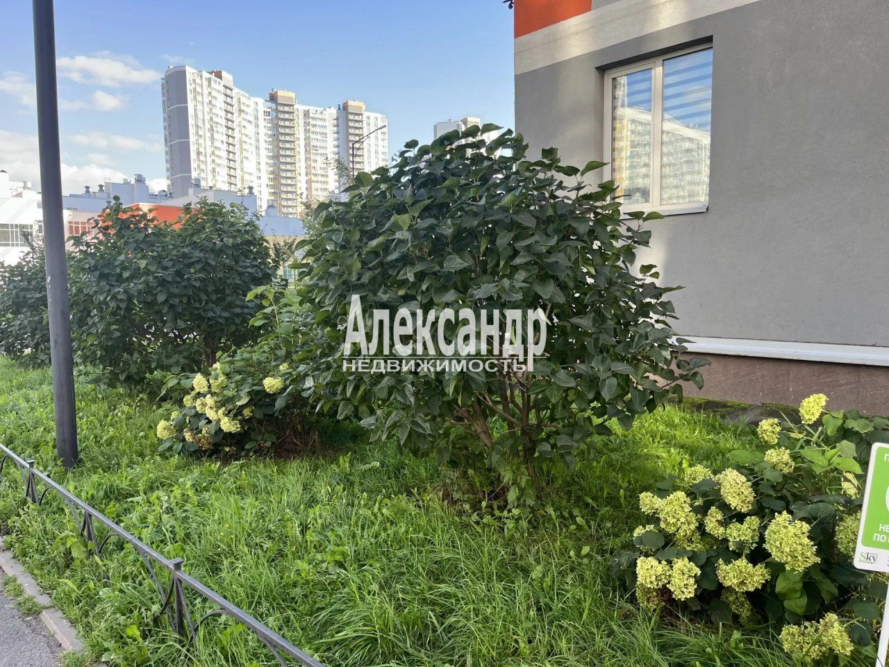Студия (24м2) на продажу — фото 15 из 16