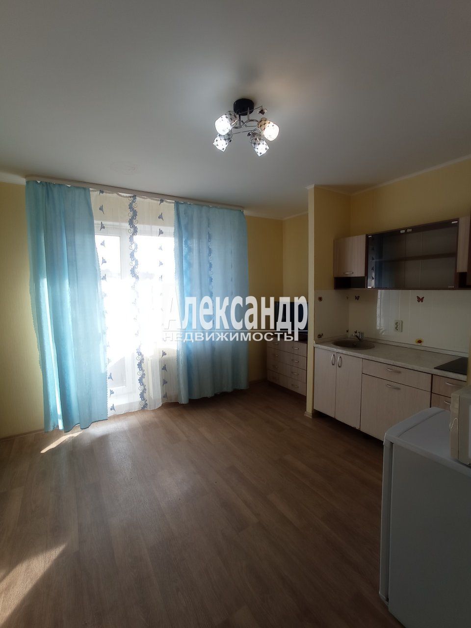 Студия (22м2) на продажу — фото 4 из 16