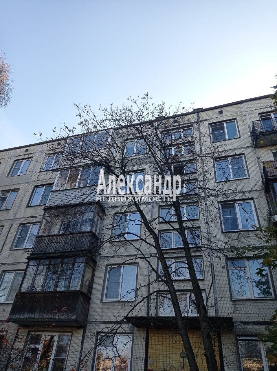 1-комнатная квартира (31м2) на продажу по адресу Санкт-Петербург, проспект Народного Ополчения, 179— фото 11 из 13