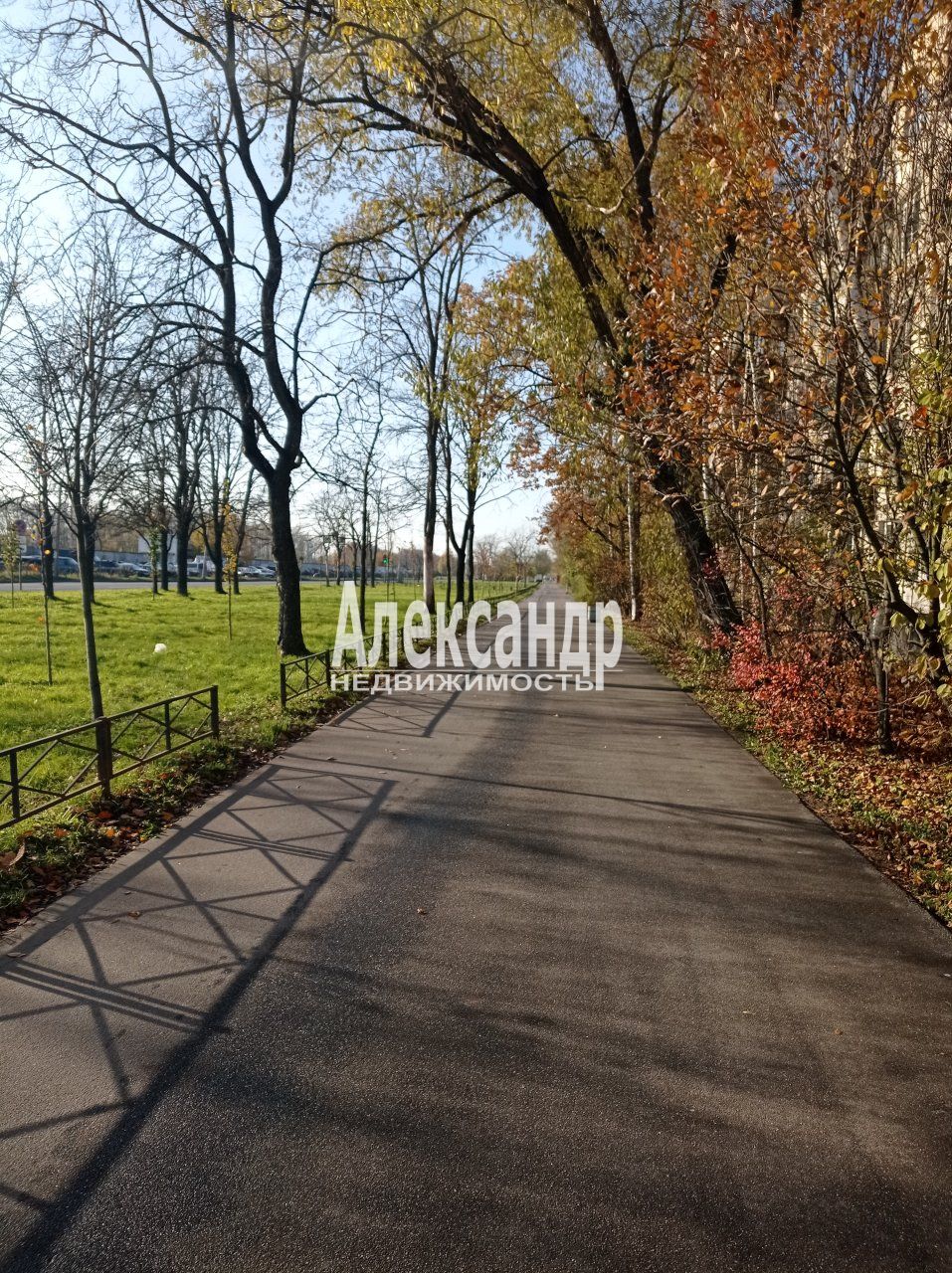 1-комнатная квартира (31м2) на продажу по адресу Санкт-Петербург, проспект Народного Ополчения, 179— фото 12 из 13