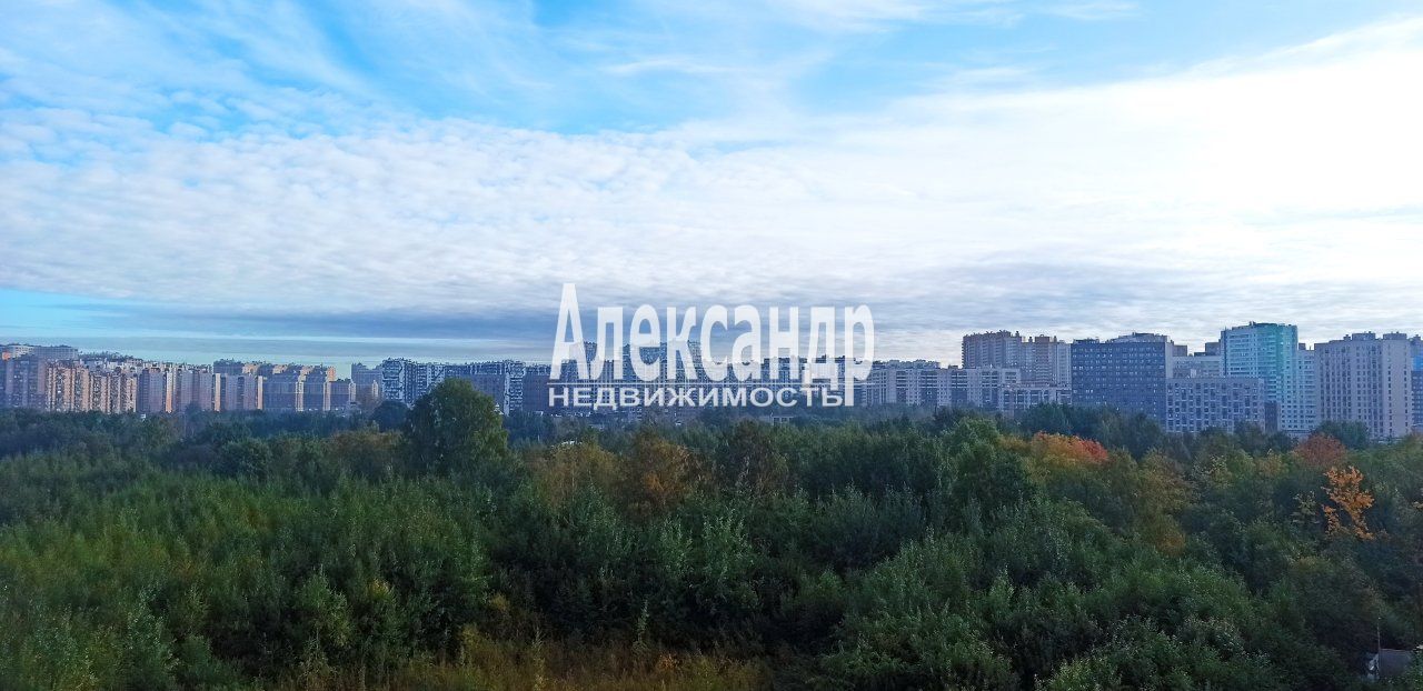 Студия (24м2) на продажу — фото 2 из 13