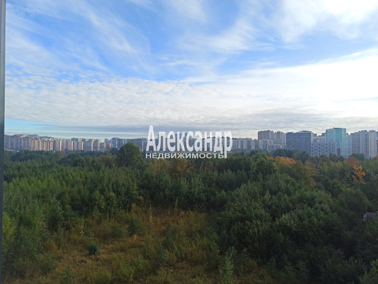 Студия (24м2) на продажу — фото 1 из 13