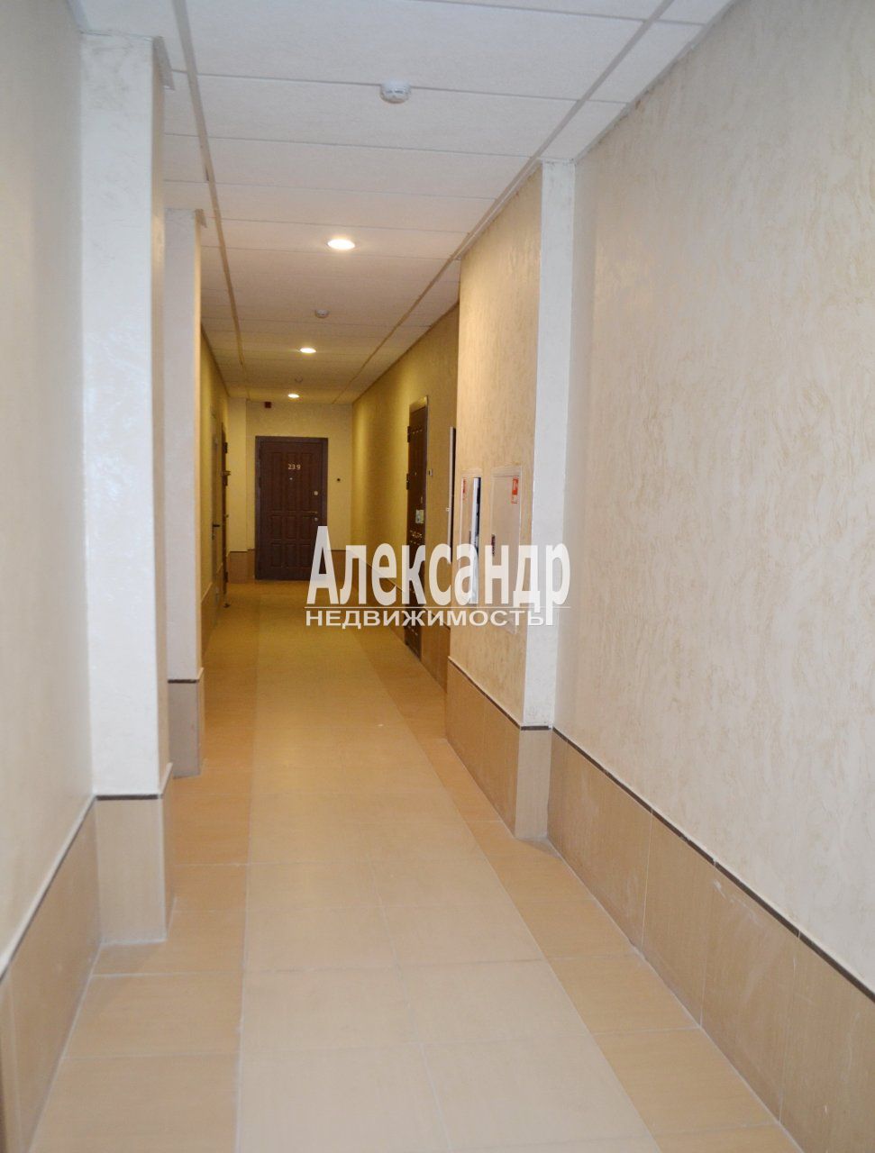 Студия (30м2) в аренду — фото 11 из 12