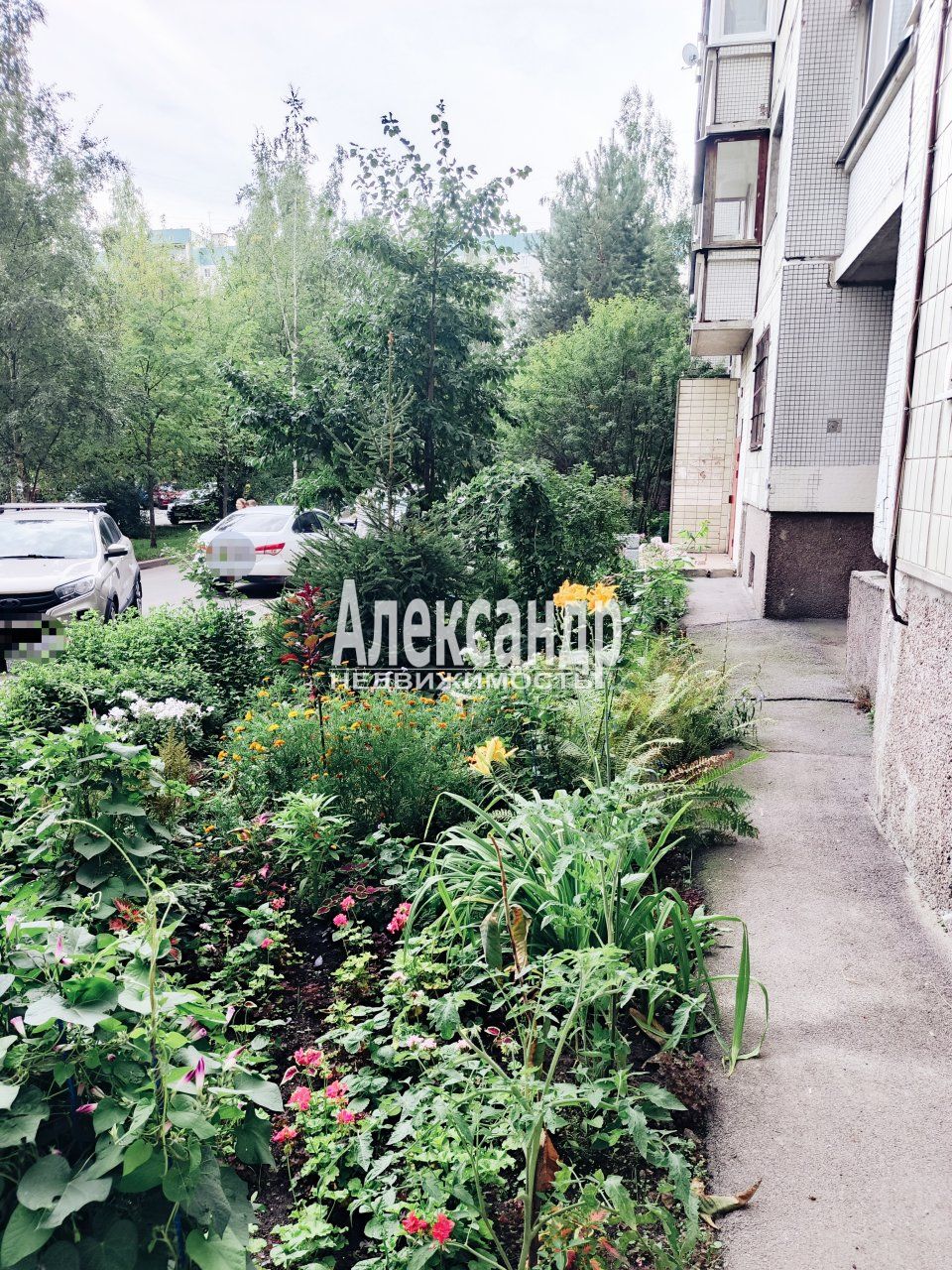 2-комнатная квартира (51м2) в аренду по адресу Санкт-Петербург, улица Джона Рида, 1к1— фото 19 из 20