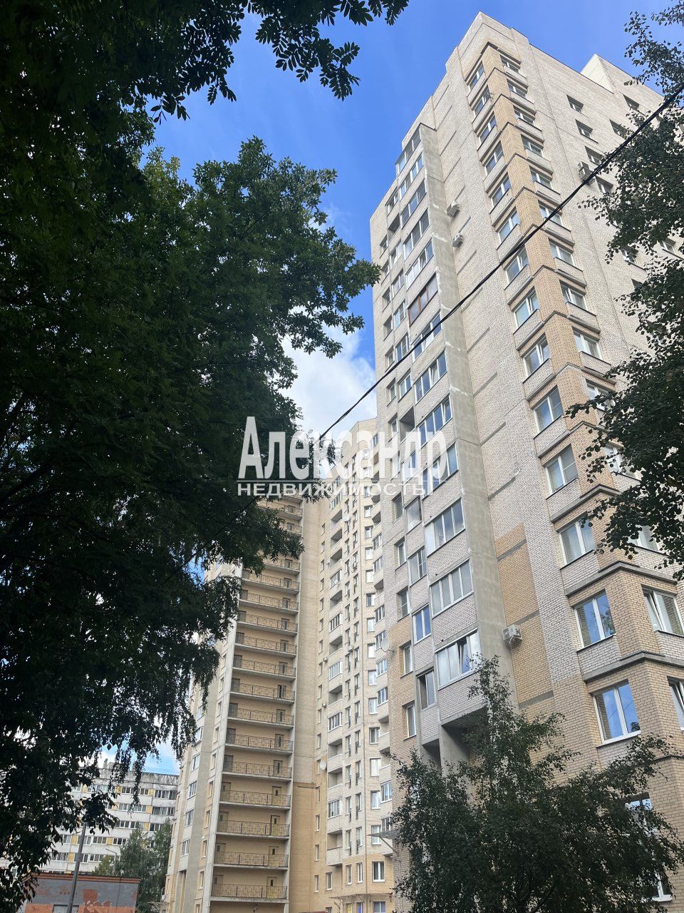 2-комнатная квартира (74м2) на продажу по адресу Санкт-Петербург, аллея Поликарпова, 6к1— фото 1 из 15
