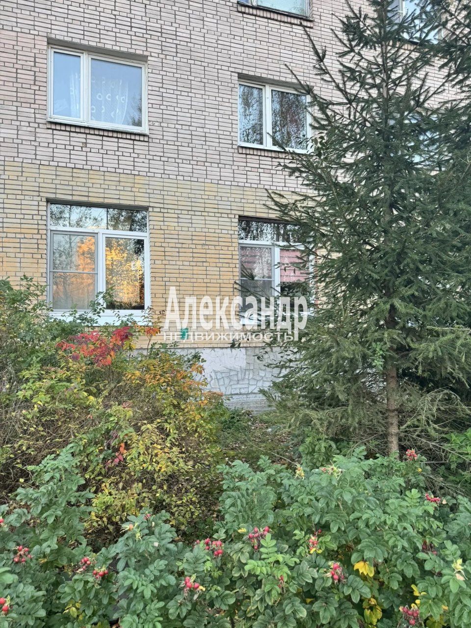 2-комнатная квартира (35м2) на продажу по адресу Санкт-Петербург, Сестрорецк, улица Борисова, 9к2, подъезд 1— фото 12 из 13