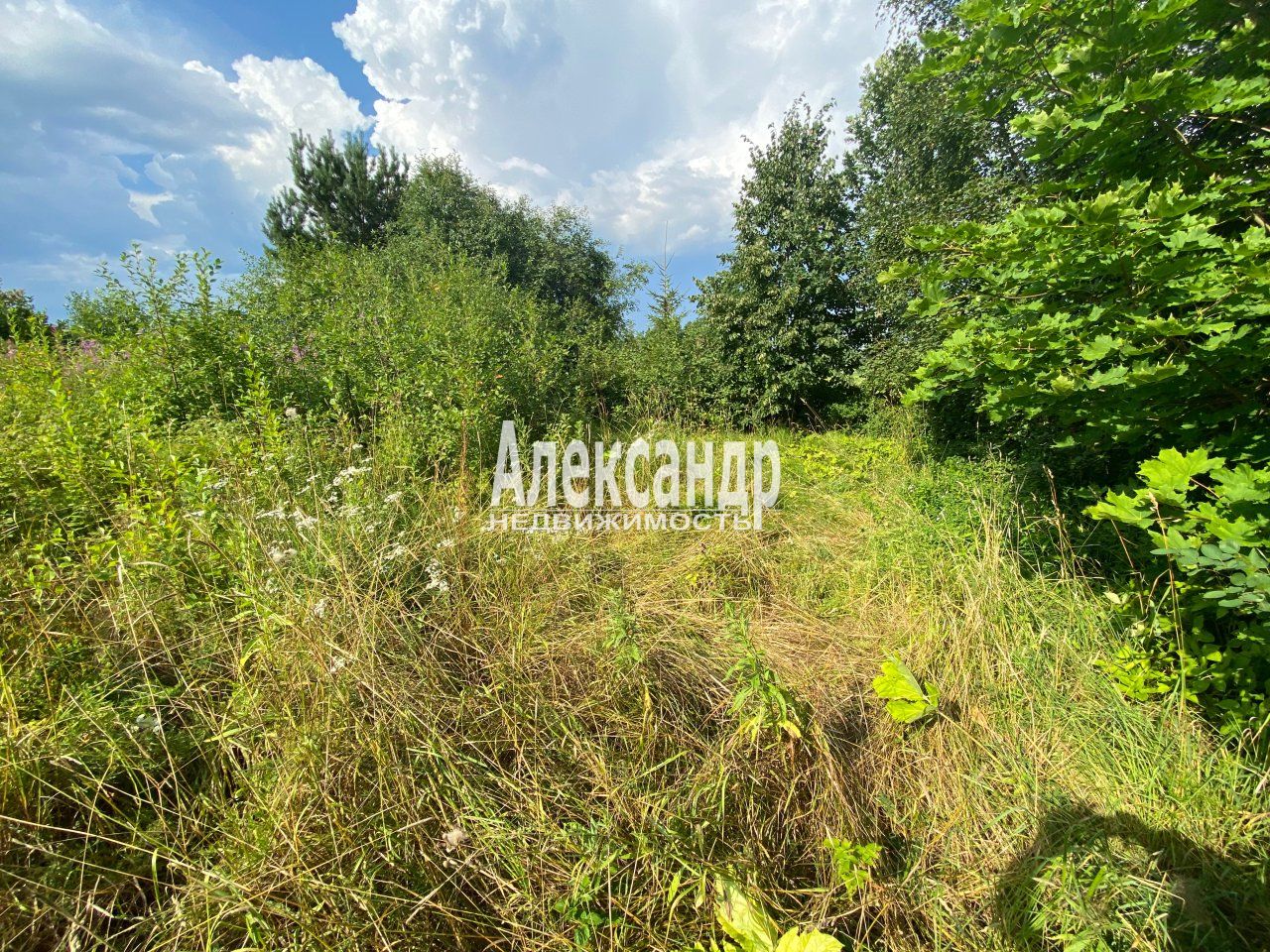 Участок (7м2) на продажу — фото 4 из 6