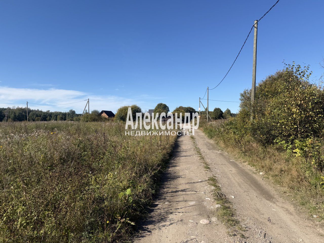 Участок площадью 12 сот
