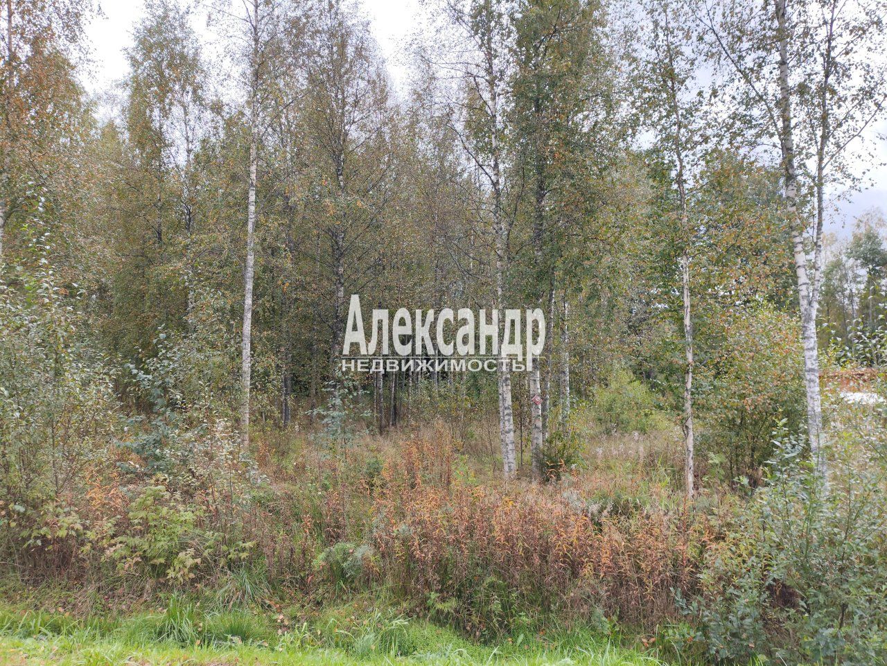Участок