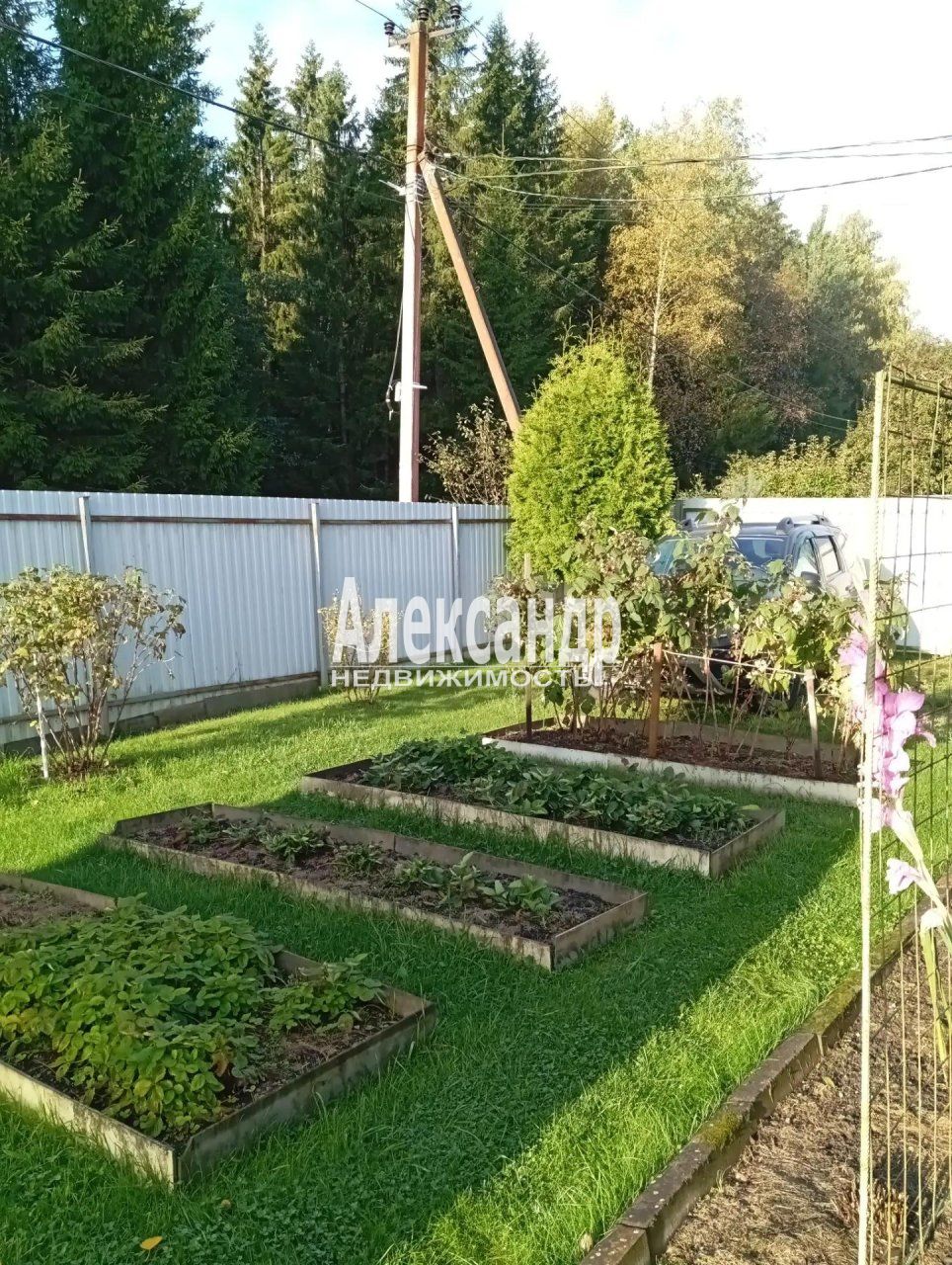 Дачный дом (35м2) на продажу — фото 3 из 24