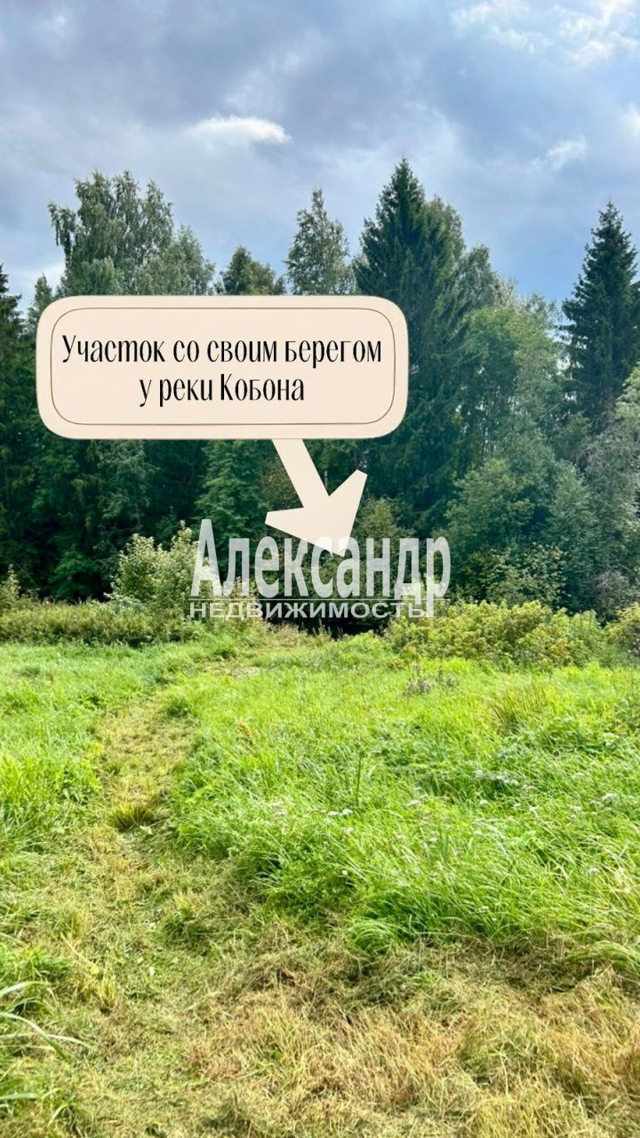 Жилой дом (54м2) на продажу — фото 22 из 24