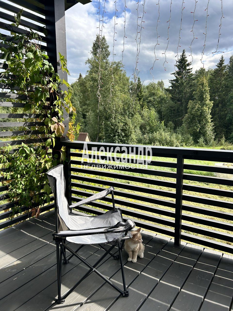 Жилой дом (54м2) на продажу — фото 15 из 24