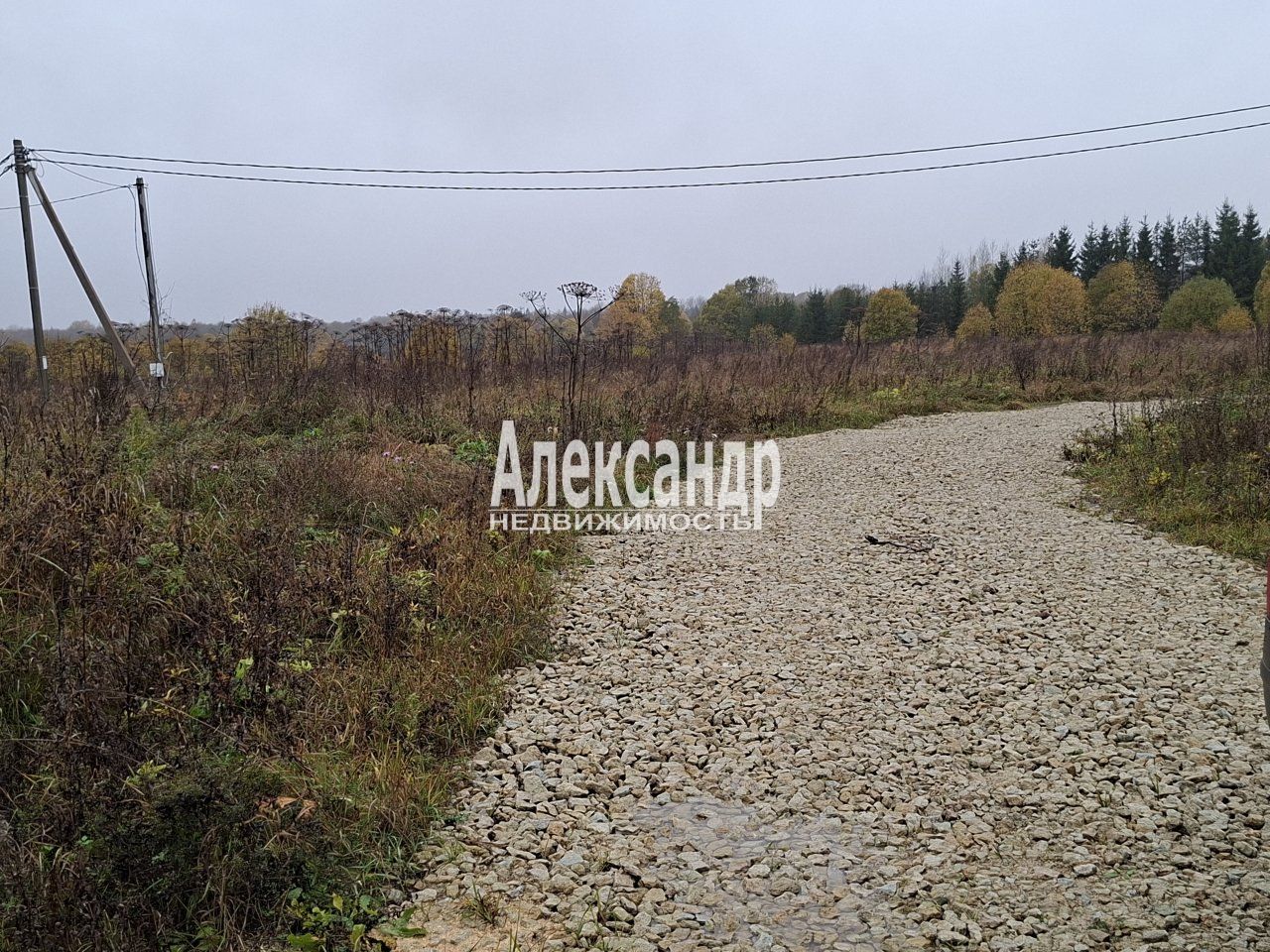 Участок (8м2) на продажу — фото 15 из 19