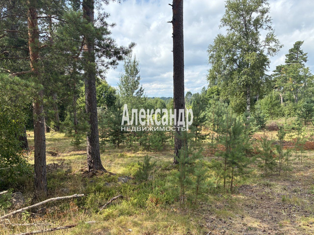 Участок (25м2) на продажу — фото 25 из 28