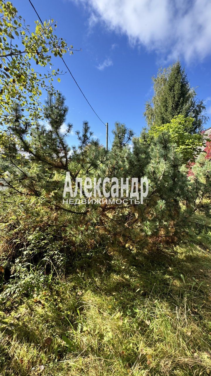 Жилой дом (80м2) на продажу — фото 17 из 48
