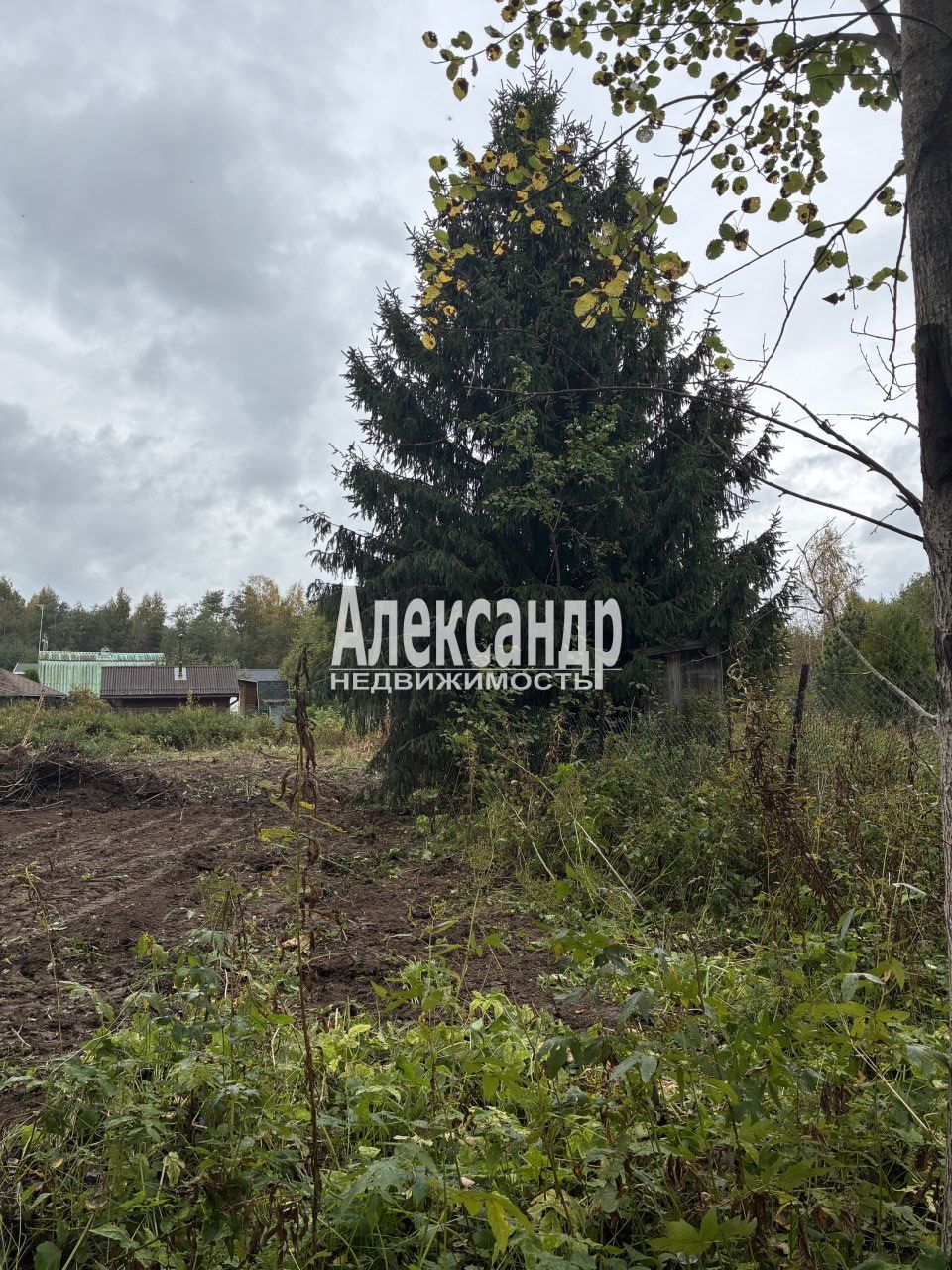 Участок (12м2) на продажу — фото 11 из 24